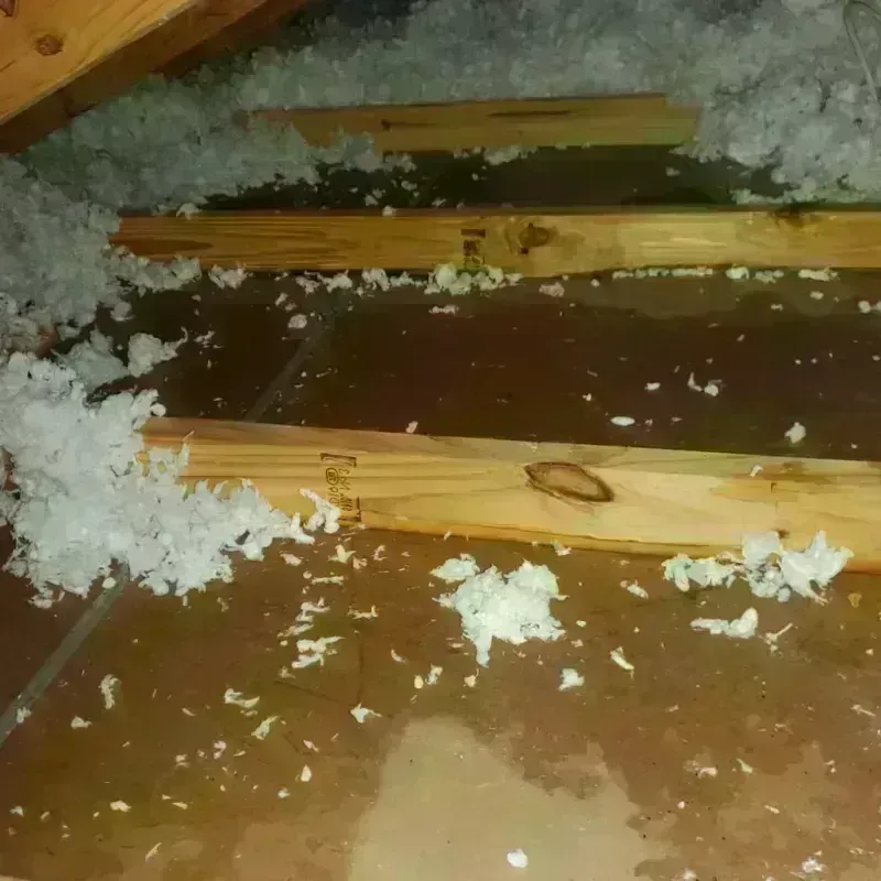 Attic Water Damage in Terrell, TX