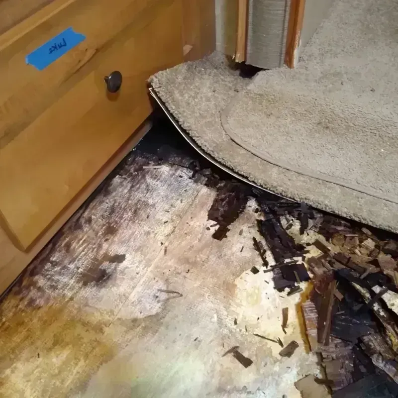 Wood Floor Water Damage in Terrell, TX